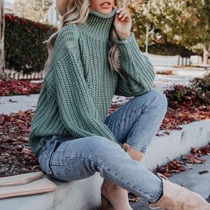 VICI Connie Turtleneck Knit Sweater- powder green